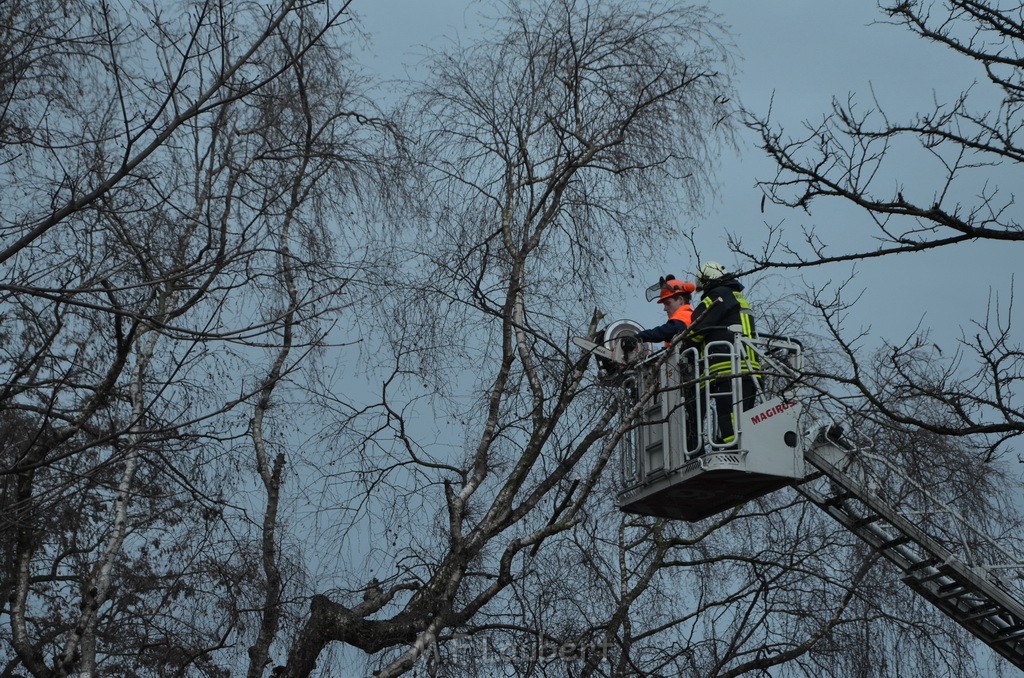 Einsatz BF FF Sturm Baum Koeln Vingst Burgstr P041.JPG - Miklos Laubert